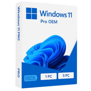 Windows 11 Professional 32/64 Bit